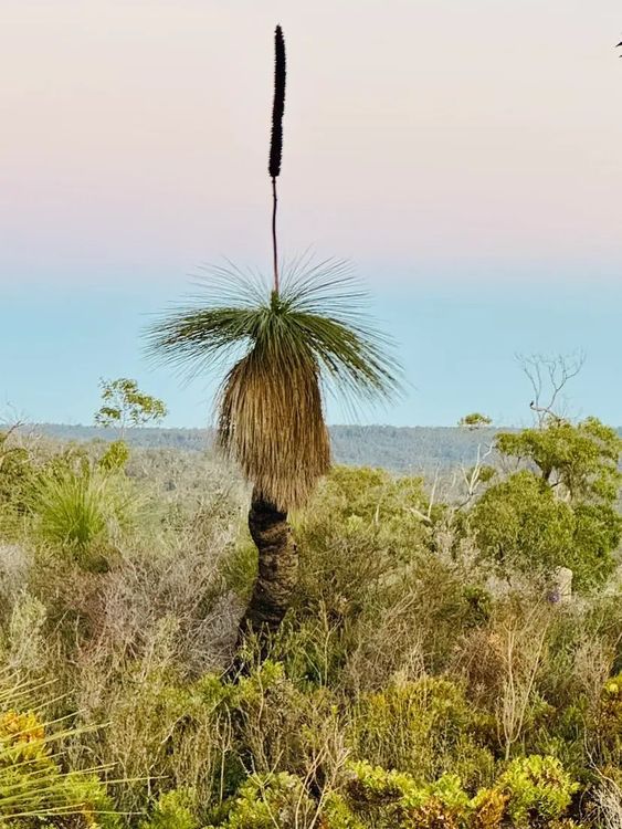 Australia’s Climate-Disclosure Regime Begins as AASB S2 Takes Effect
